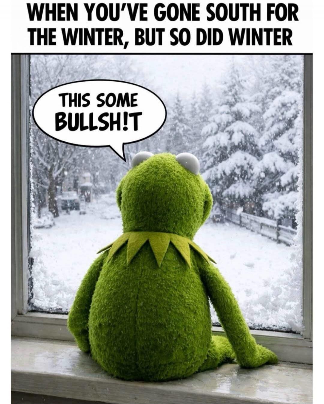 WHEN YOU'VE GONE SOUTH FOR THE WINTER, BUT SO DID WINTER. THIS SOME BULLSH!T.