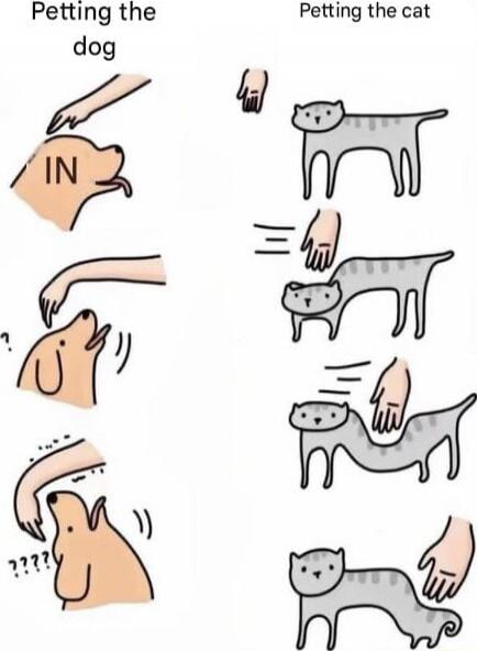 Petting the dog IN Petting the cat ????