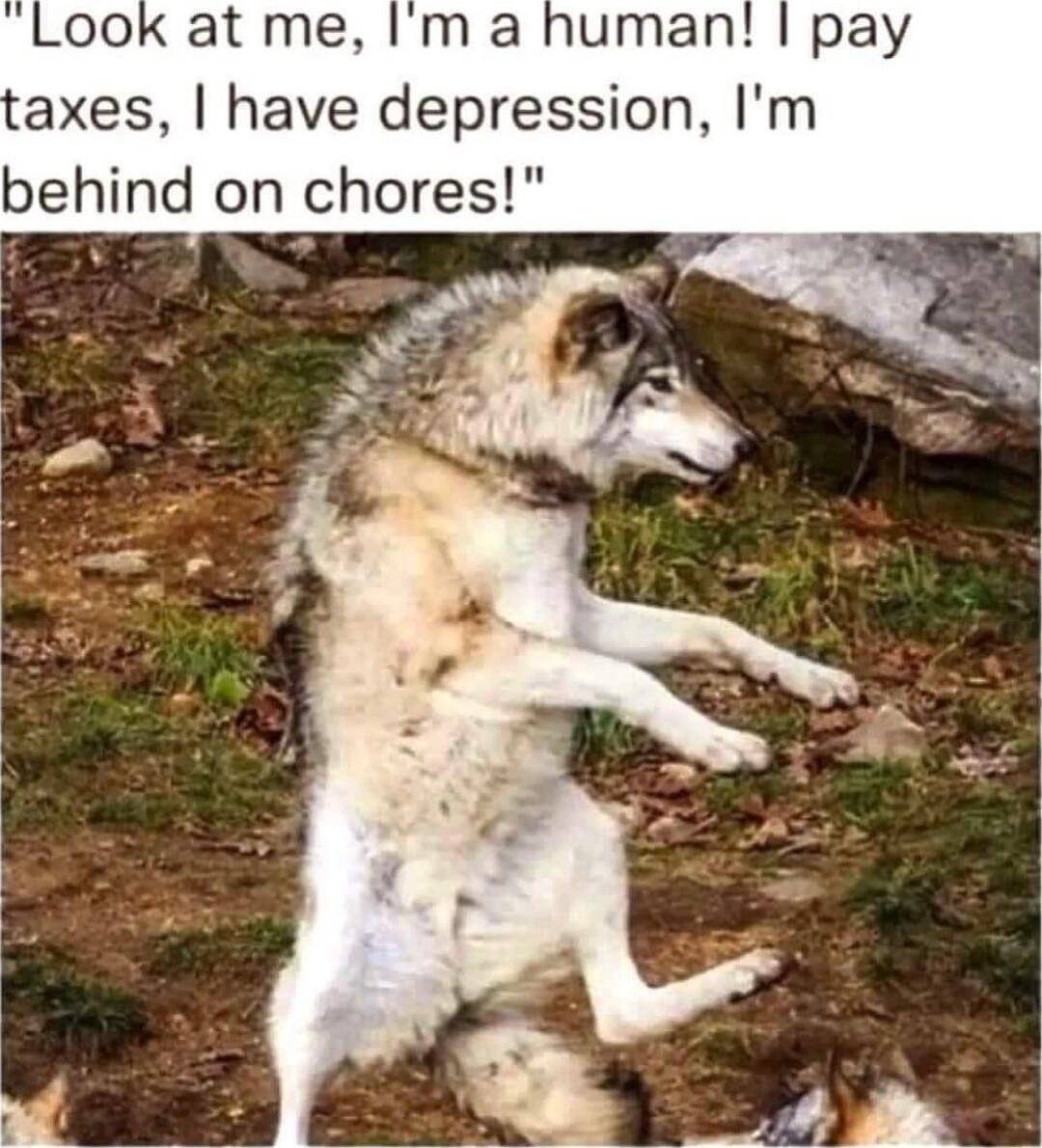 ook at me Im a human pay axes have depression Im behind on chores