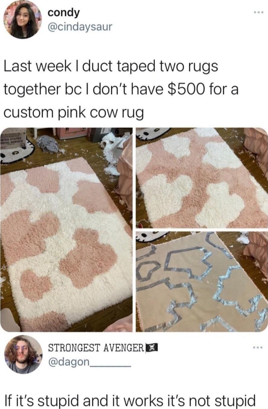 I condy cindaysaur Last week duct taped two rugs together bc dont have 500 for a custom pink cow rug STRONGEST AVENGEREA dagon If its stupid and it works its not stupid