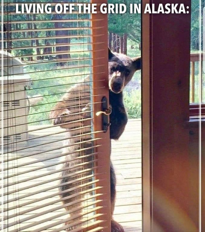 LIVINGOEETHE GRID IN ALASKA