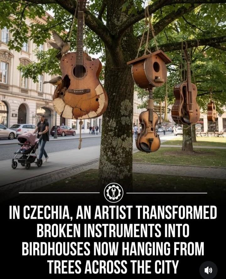 IN CZECHIA, AN ARTIST TRANSFORMED BROKEN INSTRUMENTS INTO BIRDHOUSES NOW HANGING FROM TREES ACROSS THE CITY