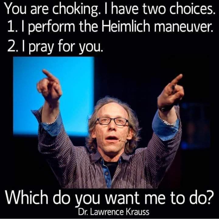 You are choking have two choices 1 perform the Heimlich maneuver 21 pray for you i x Which do el want me to do T