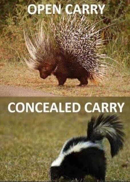 OPEN CARRY
CONCEALED CARRY