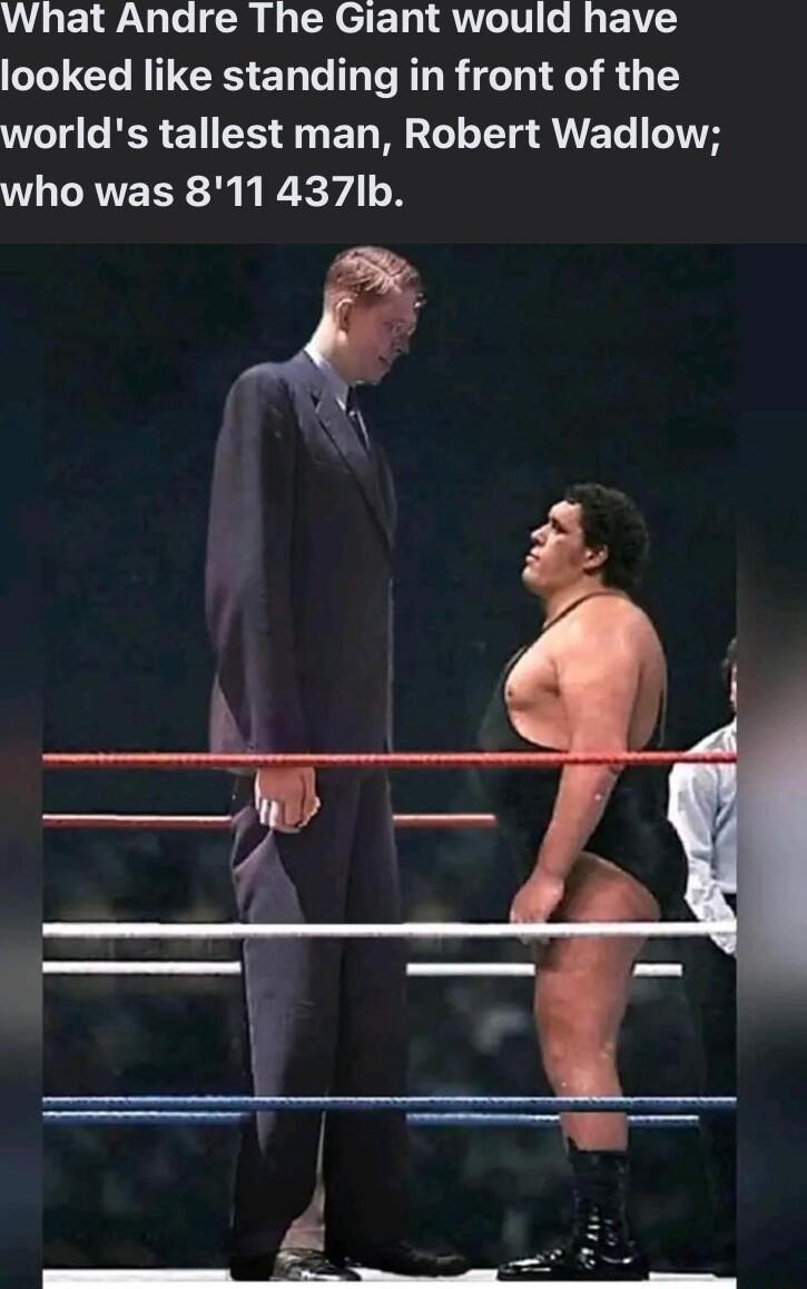 What Andre The Giant would have looked like standing in front of the WL e BRI IS ET M G T ANE T N who was 811437Ib