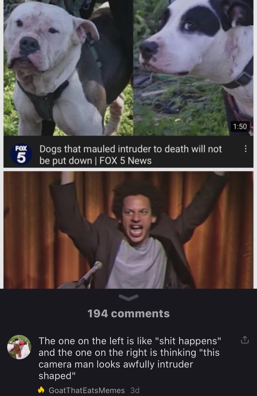 Pax Dogs that mauled intruder to death will not be put down FOX 5 News 194 comments The one on the left is like shit happens EQC RGN R LN IS ER GGG R GIEY camera man looks awfully intruder shaped W GoatThatEatsMemes 3d