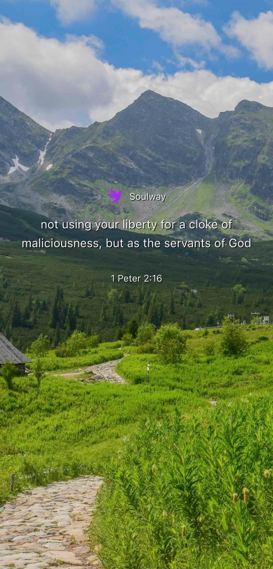 Soulway not using your liberty for a cloke of maliciousness, but as the servants of God 1 Peter 2:16