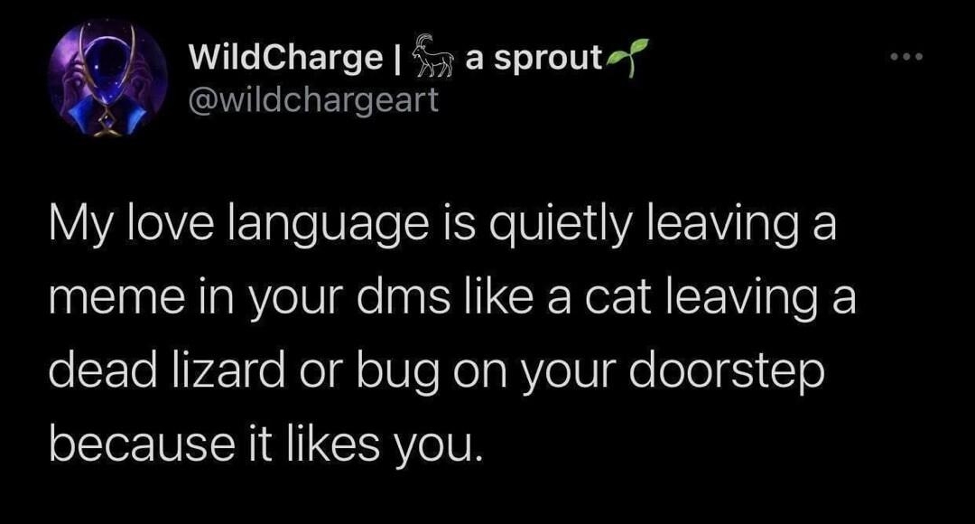 WildCharge a sproutf wildchargeart My love language is quietly leaving a meme in your dms like a cat leaving a dead lizard or bug on your doorstep because it likes you 1021 PM 2021 06 07 Twitter for iPhone 106K Retweets 340 Quote Tweets 461K Likes