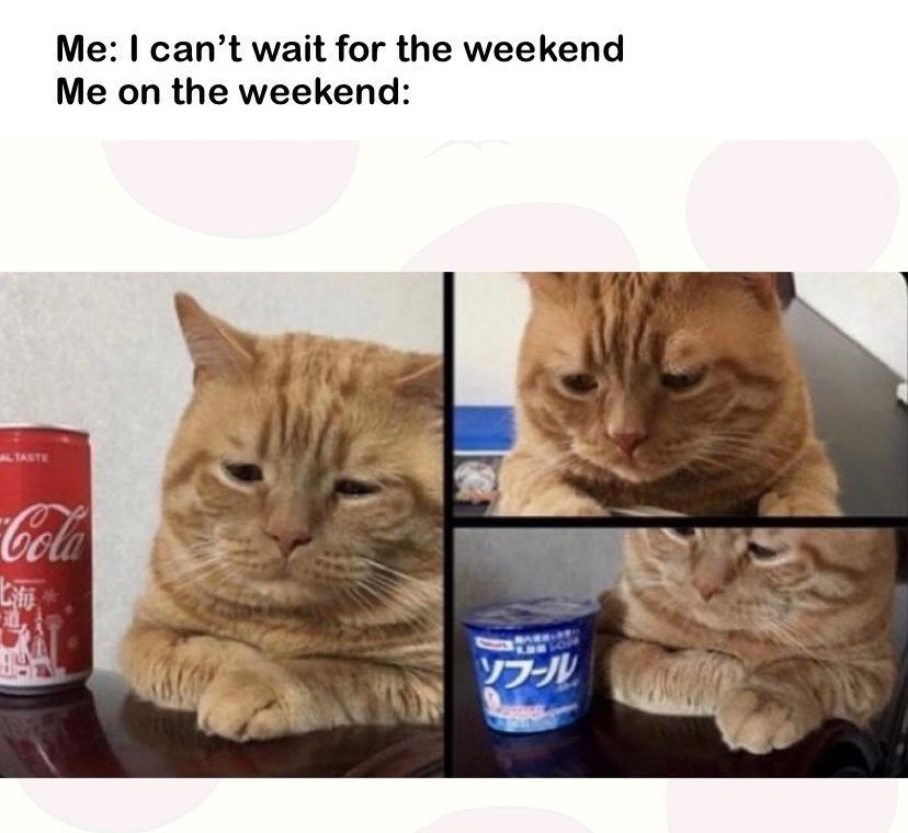 Me cant wait for the weekend Me on the weekend