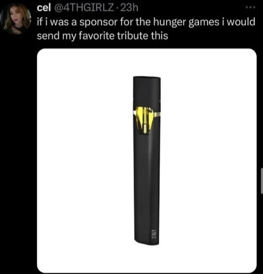 cel if i was a sponsor for the hunger games i would send my favorite tribute this