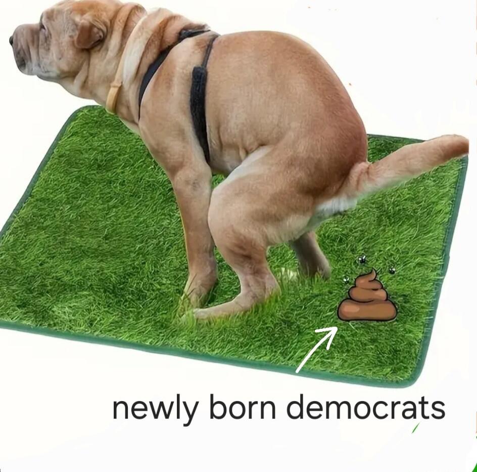 newly born democrats