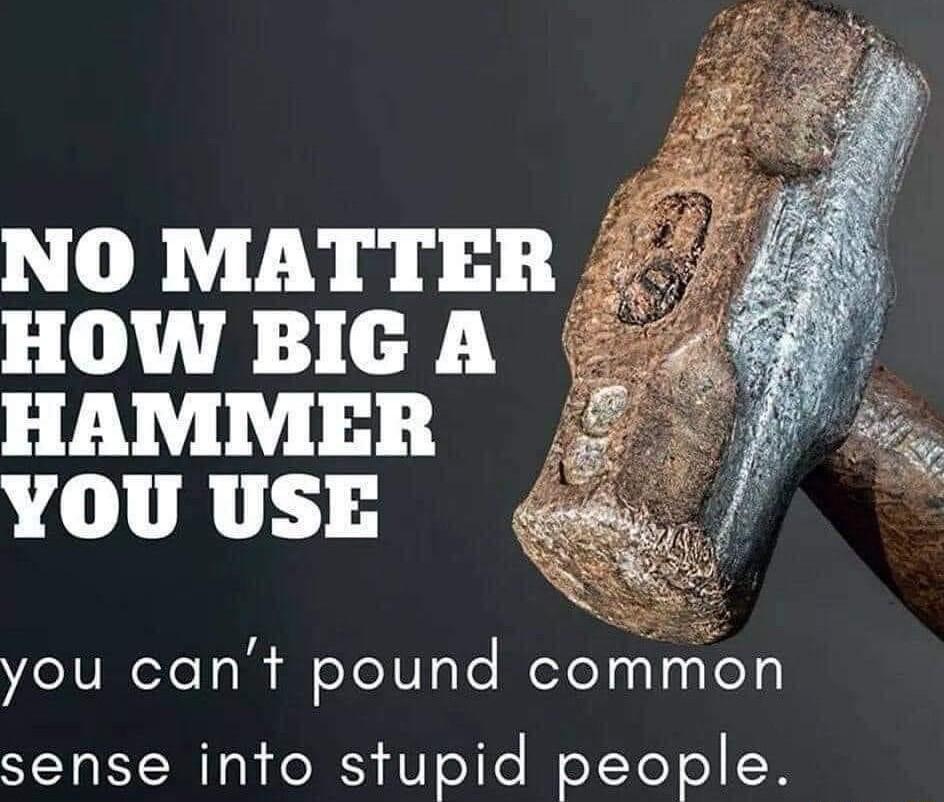 NO MATTER HOW BIG A HAMMER YOU USE you cant pound common sense into stupid people