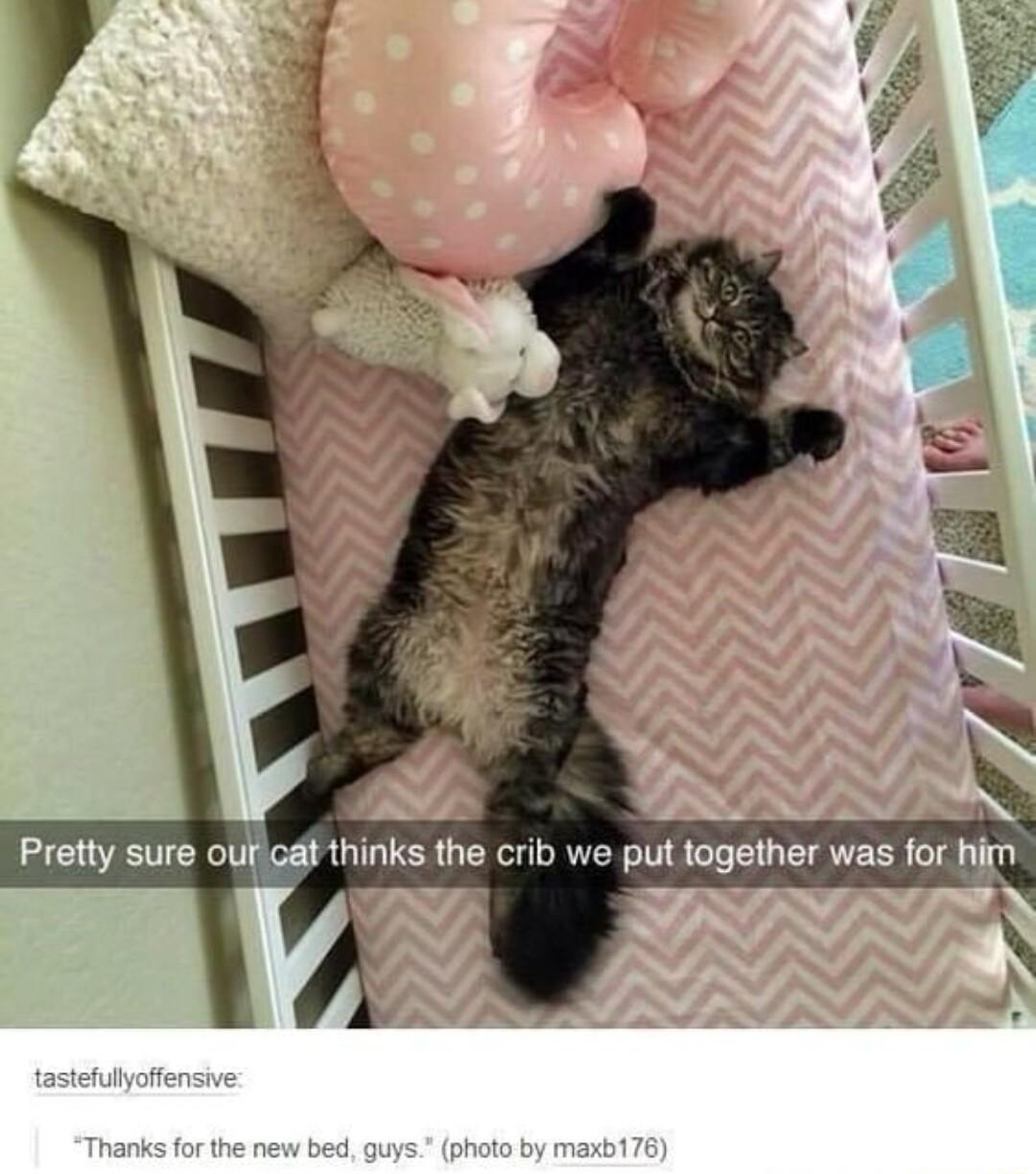 Pretty sure ouficaf thinks the crib we put together was for h