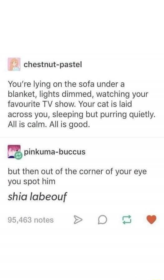 You're lying on the sofa under a blanket, lights dimmed, watching your favourite TV show. Your cat is laid across you, sleeping but purring quietly. All is calm. All is good. But then out of the corner of your eye you spot him: Shia LaBeouf.