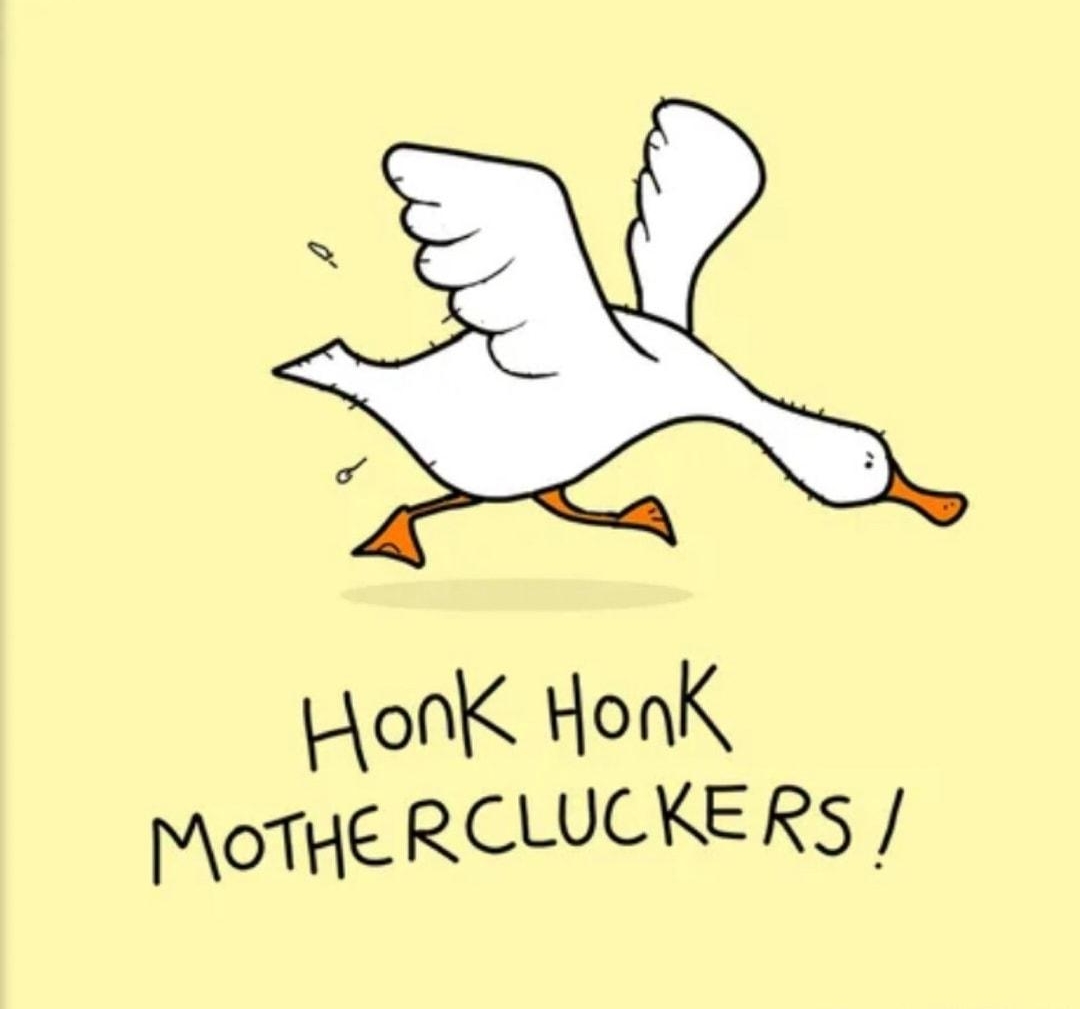 Possibly my favourite page from the book 100 grumpy animals HonK HonK MOTHE RCLUCKERS