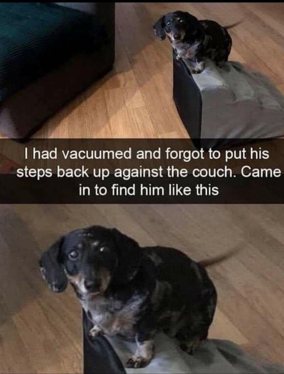had vacuumed and forgot to put his steps back up against the couch Came LRCR TN ERGTS