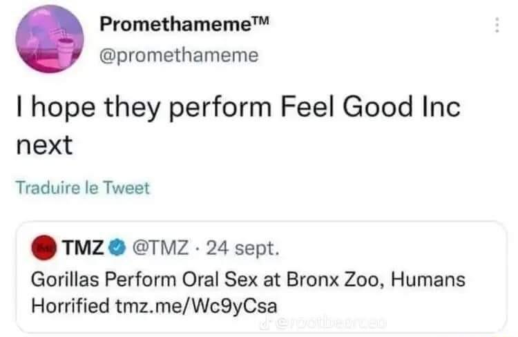 Promethameme promethameme hope they perform Feel Good Inc next Traduire le Tweet TMZ TMZ 24 sept Gorillas Perform Oral Sex at Bronx Zoo Humans Horrified tmzmeWc9yCsa