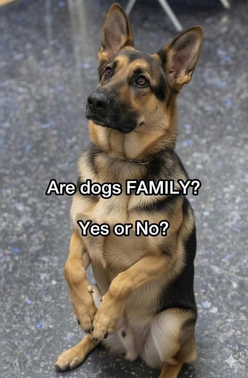 Are dogs FAMILY? Yes or No?
