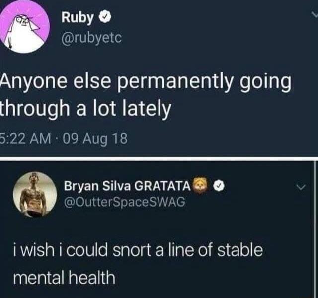 Ruby N I Anyone else permanently going through a lot lately 522 AM 09 Aug 18 Bryan Silva GRATATA OutterSpaceSWAG i wish i could snort a line of stable mental health