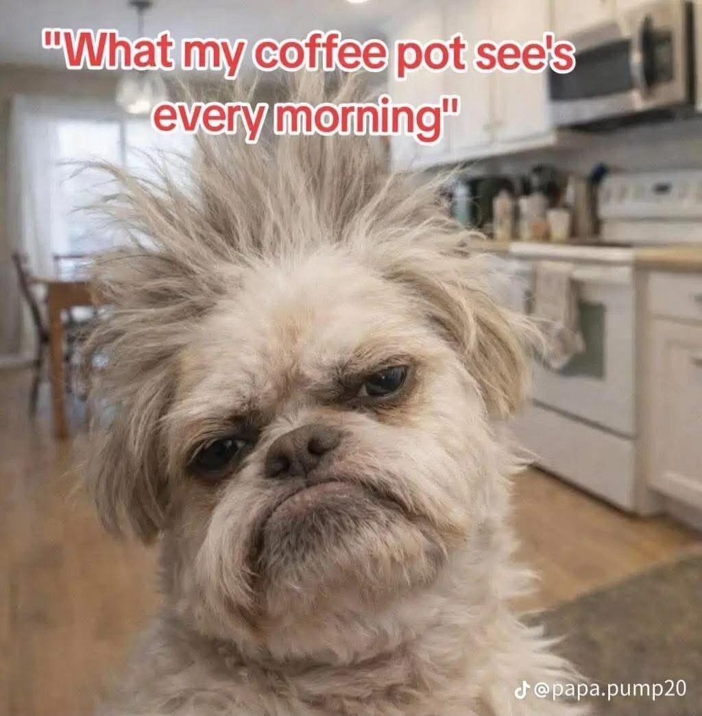 What my coffee pot see's every morning