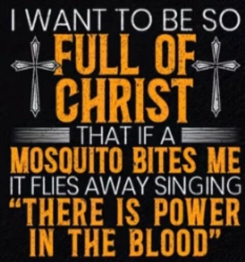 I WANT TO BE SO FULL OF CHRIST THAT IF A MOSQUITO BITES ME IT FLIES AWAY SINGING 