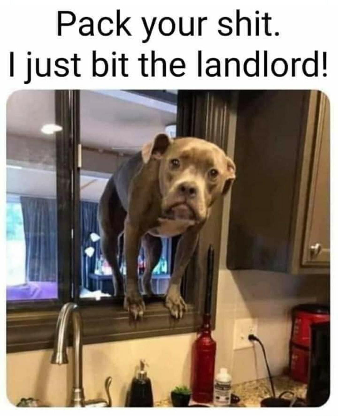 Pack your shit just bit the landlord