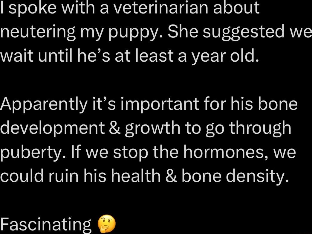 spoke with a veterinarian about neutering my puppy She suggested we wait until hes at least a year old Apparently its important for his bone development growth to go through puberty If we stop the hormones we could ruin his health bone density Fascinating