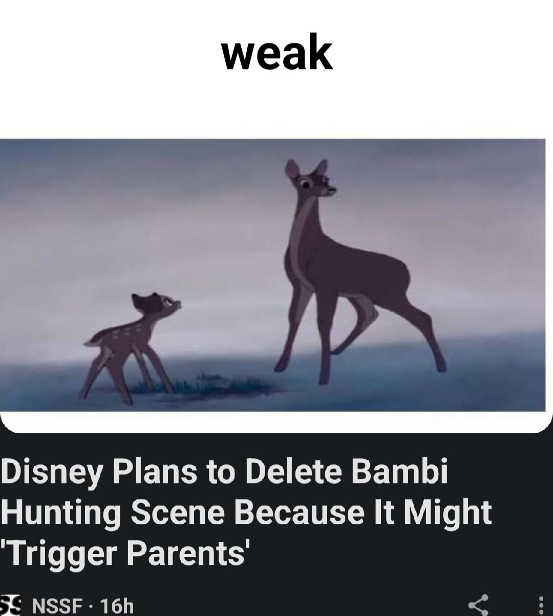 IEL M ENERGIDE S ET L Hunting Scene Because It Might Trigger Parents NSSF 16h