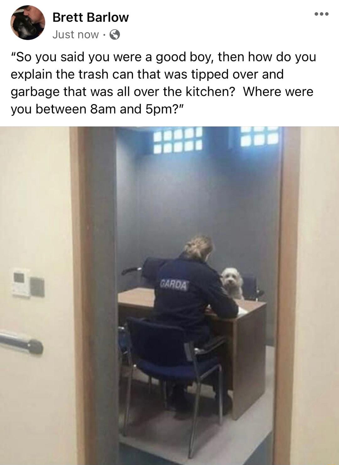 Brett Barlow Just now So you said you were a good boy then how do you explain the trash can that was tipped over and garbage that was all over the kitchen Where were you between 8am and 5pm