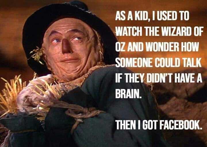 ASAKID USED TO WATCH THE WIZARD OF OZANDWONDER HOW _SOMEONE COULD TALK IF THEYDIDNT HAVE A BRAIN THEN GOT FACEBOOK