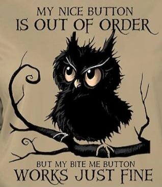 MY NICE BUTTON IS OUT OF ORDER BUT MY BITE ME BUTTON WORKS JUST FINE