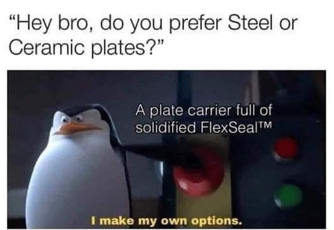 Hey bro do you prefer Steel or Ceramic plates A plate carrier full of solidified FlexSeal 1 make my own options