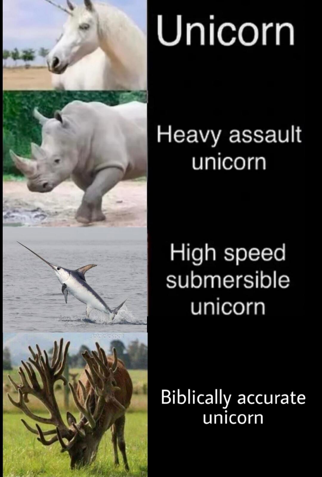 Unicorn Heavy assault unicorn High speed submersible unicorn Biblically accurate unicorn lololclickbait