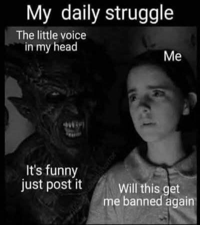 My daily struggle
The little voice in my head
Me
It's funny just post it
Will this get me banned again
