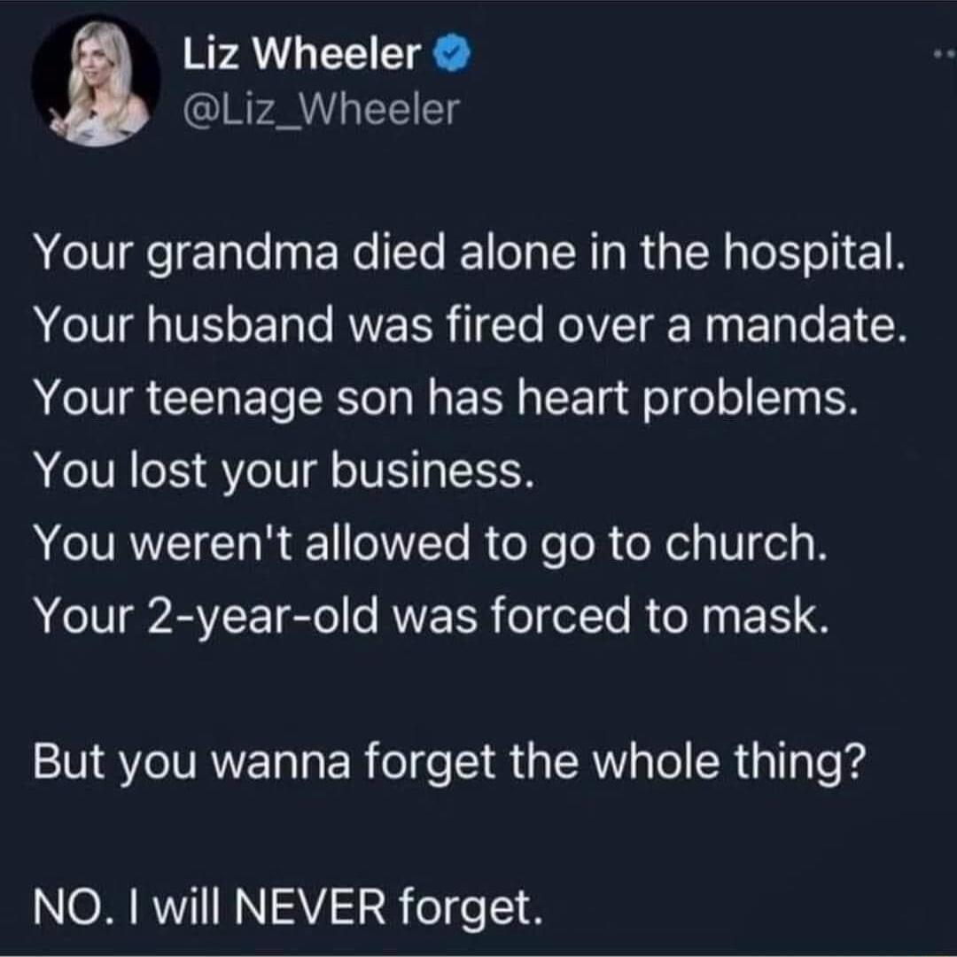 Liz Wheeler Liz_Wheeler Your grandma died alone in the hospital MV U E I RERR 1l Kol I N E eI Your teenage son has heart problems You lost your business You werent allowed to go to church AT RVEE el ANEER ol el Te R N E 1 But you wanna forget the whole thing NORRMIIRN AV Ie 1 8