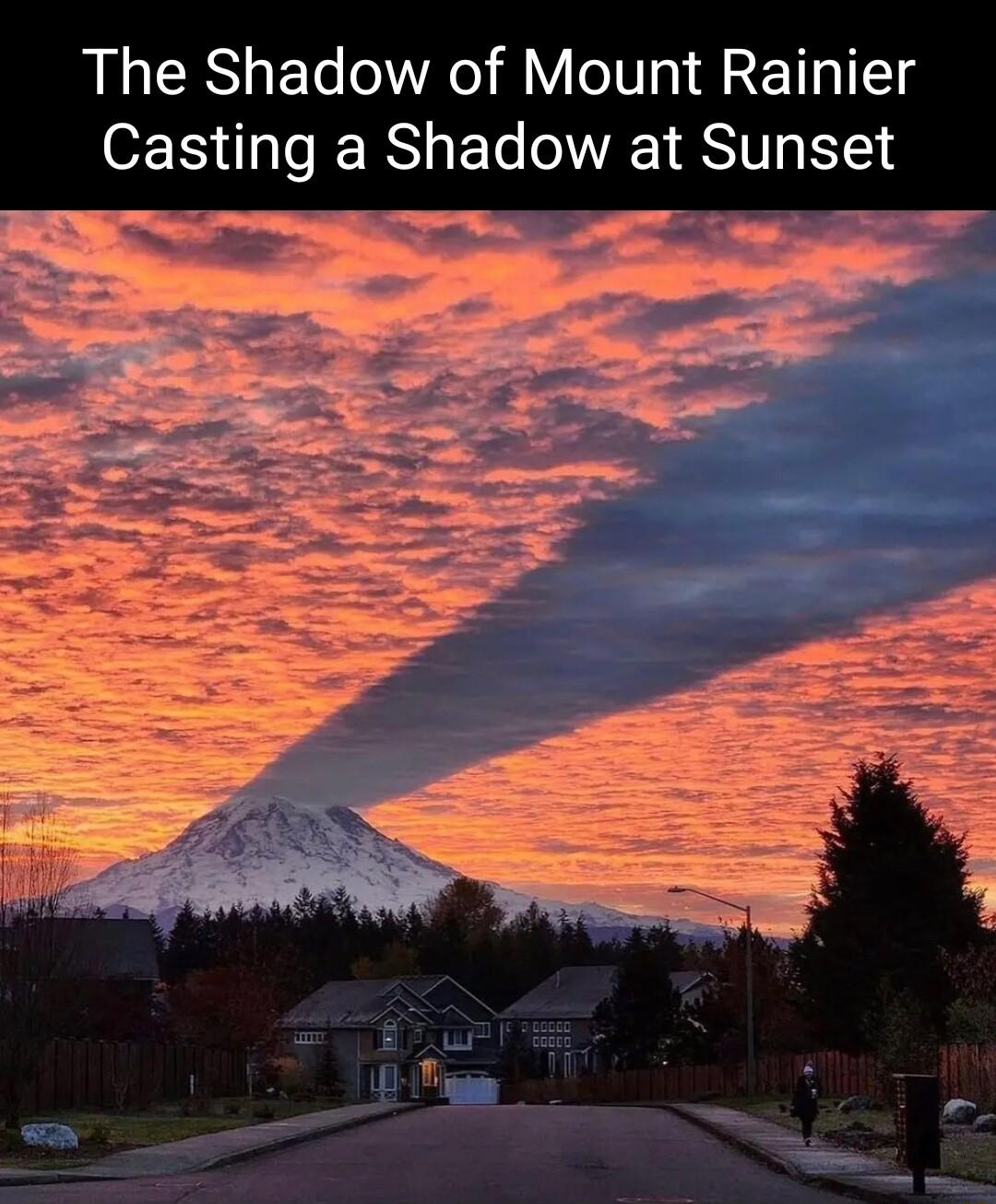 Ell Casting a Shadow at Sunset