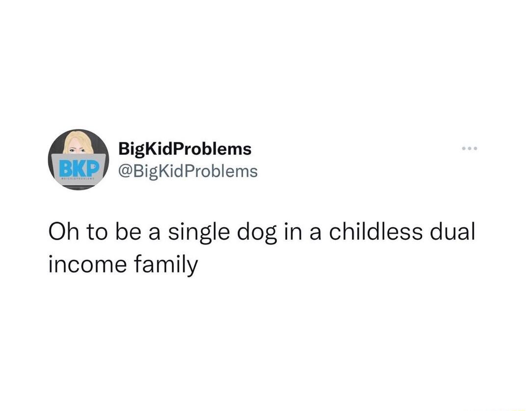 BigKidProblems BigKidProblems Oh to be a single dog in a childless dual income family