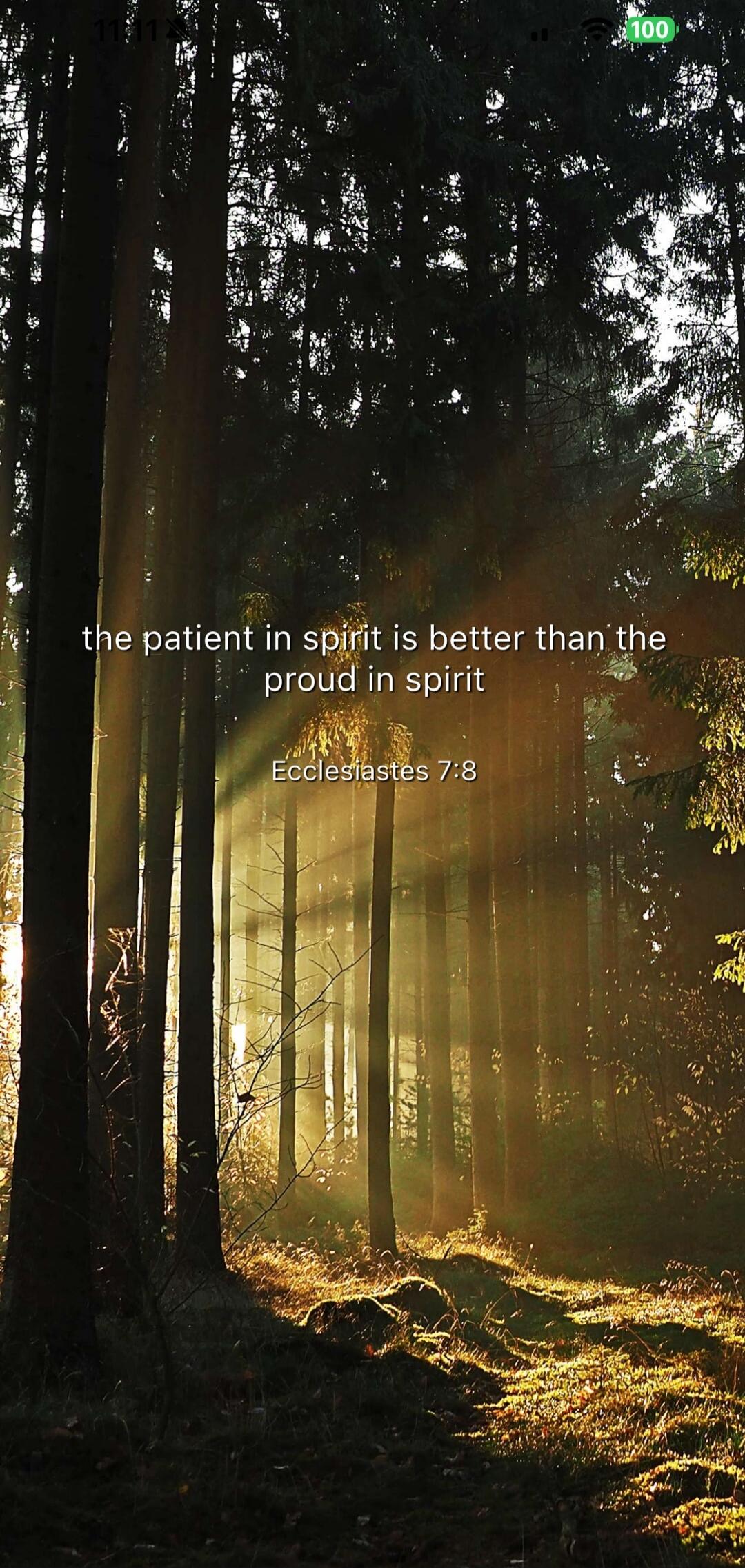 the patient in spirit is better than the proud in spirit
Ecclesiastes 7:8