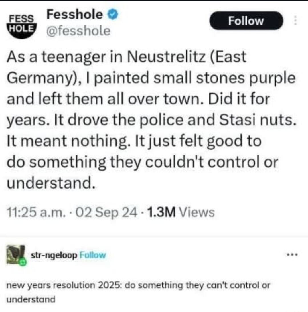 Fesshole Foll fesshole As a teenager in Neustrelitz East Germany painted small stones purple and left them all over town Did it for years It drove the police and Stasi nuts It meant nothing It just felt good to do something they couldnt control or understand 1125 am 02 Sep 24 13M Views str ngeloop fcllow new years resolution 2025 do something they cant control or understand