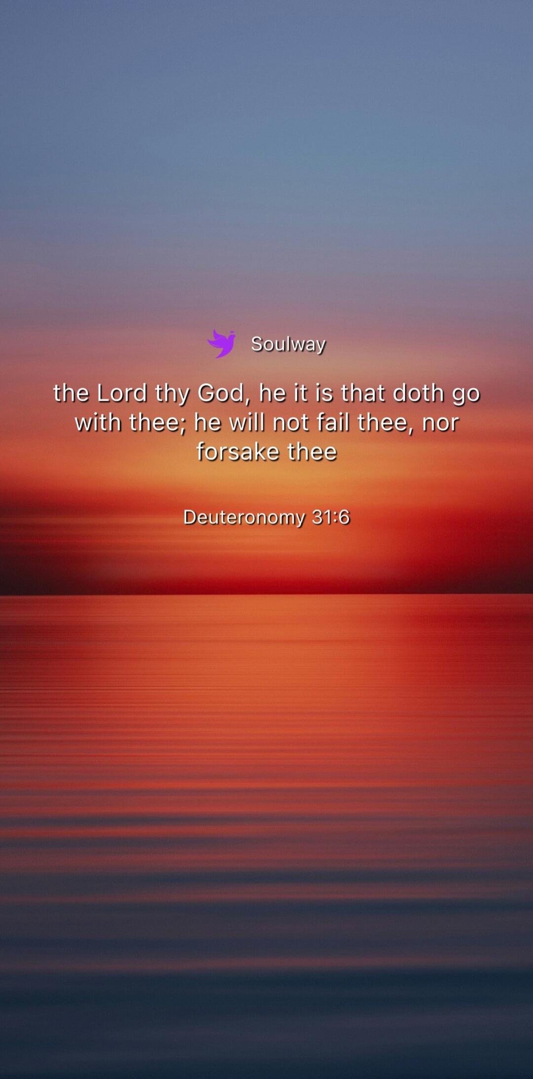 the Lord thy God, he it is that doth go with thee; he will not fail thee, nor forsake thee
Deuteronomy 31:6