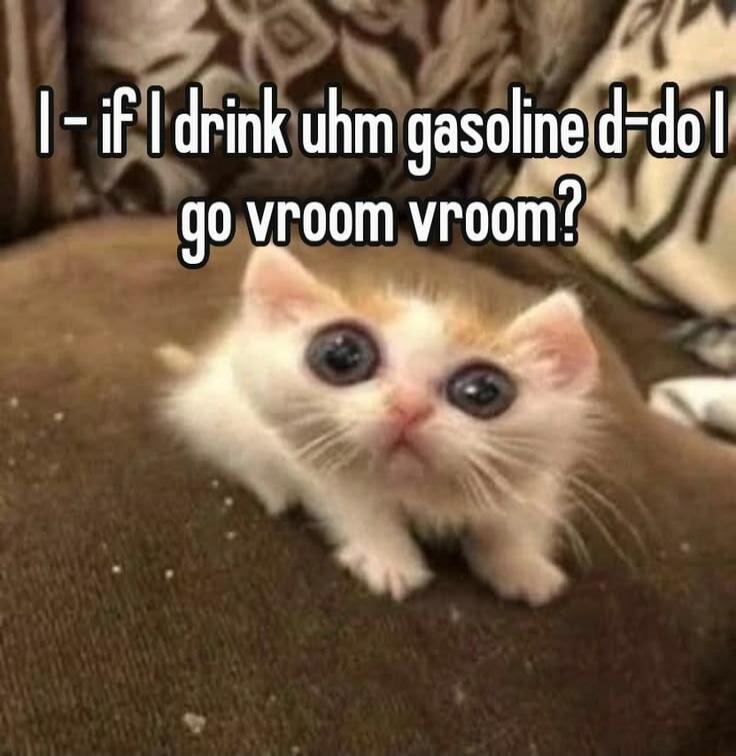 I- if I drink uhm gasoline d-do I go vroom vroom?