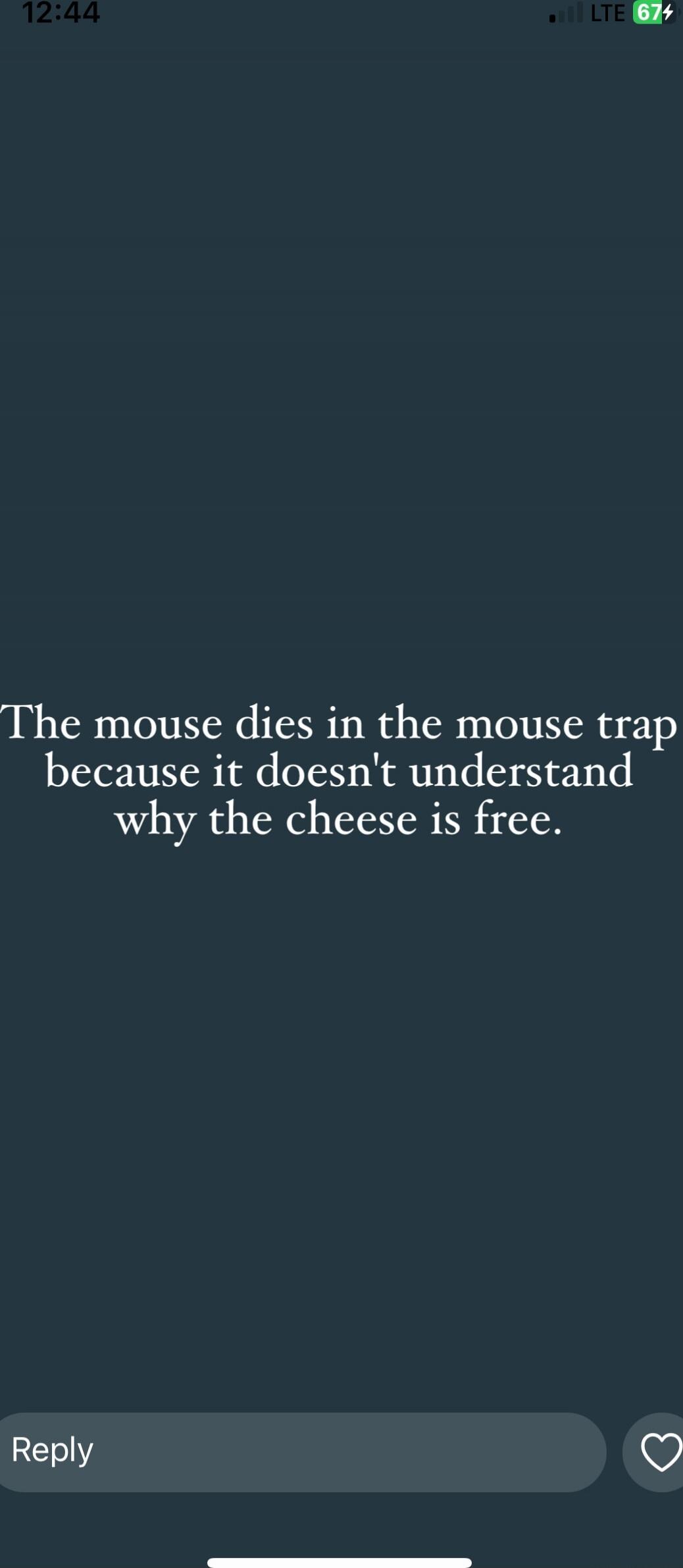 The mouse dies in the mouse trap because it doesn't understand why the cheese is free.