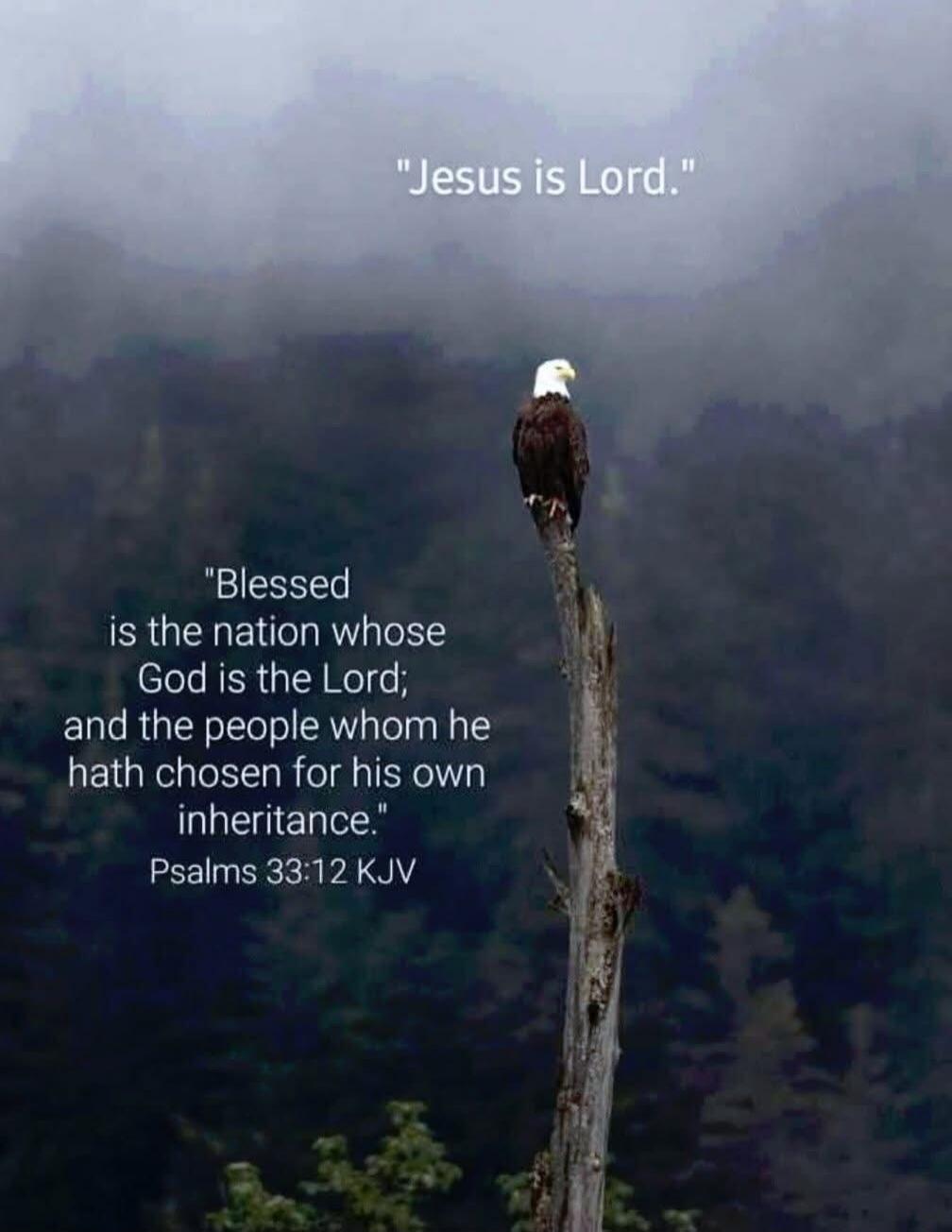 Jesus is Lord. Blessed is the nation whose God is the Lord; and the people whom he hath chosen for his own inheritance. Psalms 33:12 KJV