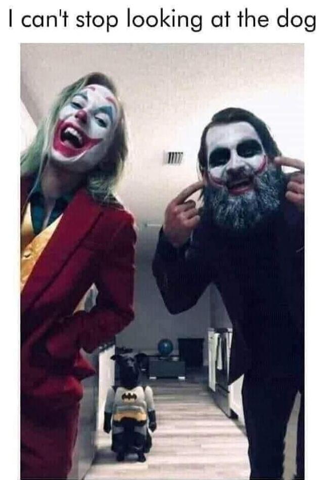 I can't stop looking at the dog