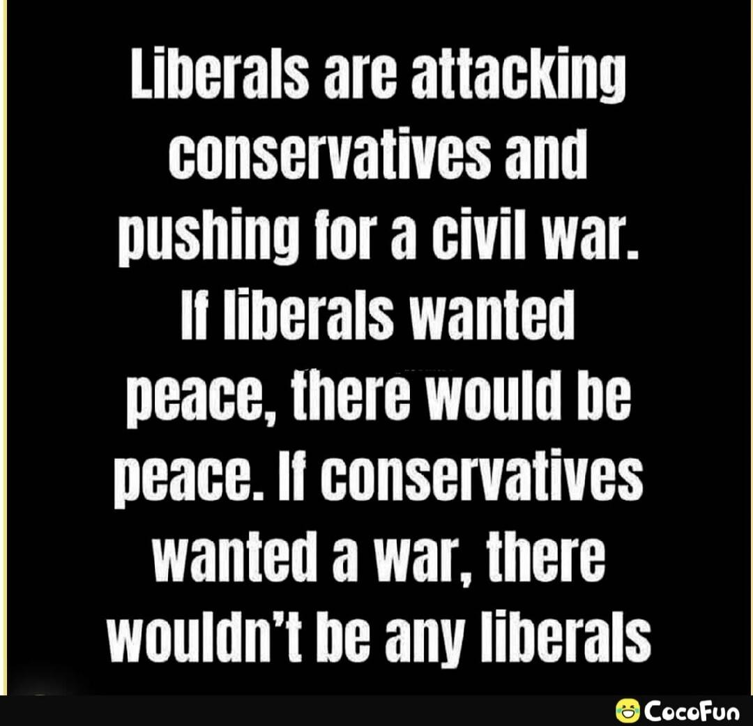 Liberals are attacking conservatives and pushing for a civil war. If liberals wanted peace, there would be peace. If conservatives wanted a war, there wouldn't be any liberals