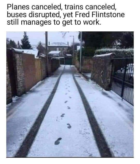 Planes canceled trains canceled buses disrupted yet Fred Flintstone still manages to get to work
