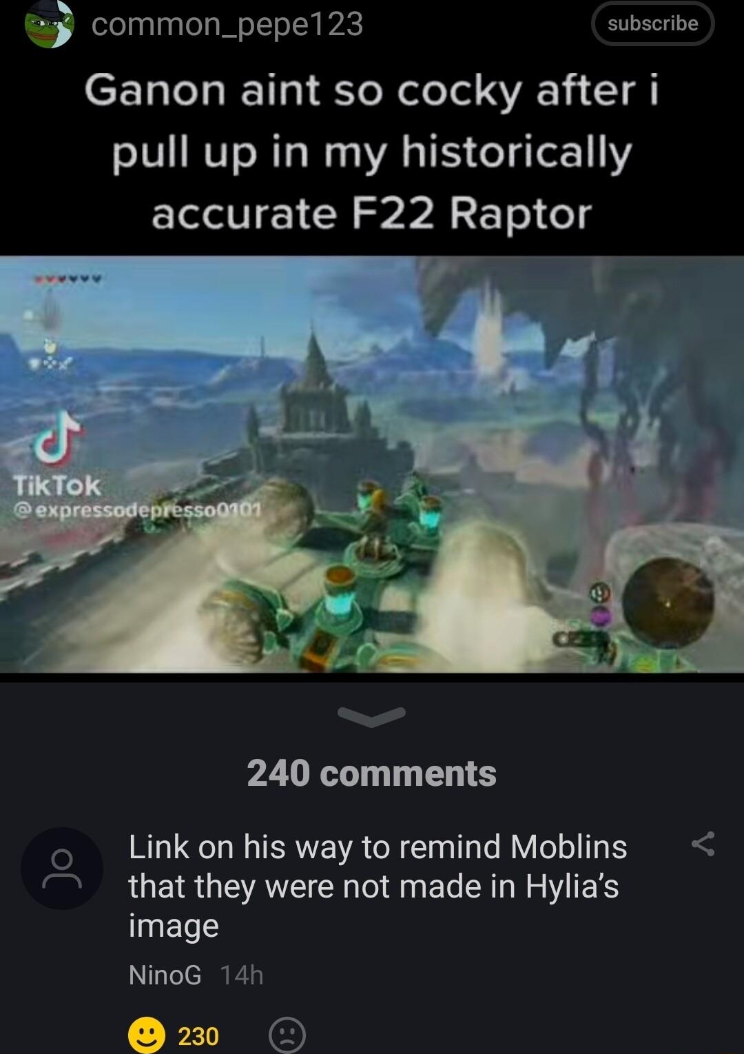 e common_pepe123 subscribe CEL LTl Ko R ool VA 11 1 d pull up in my historically accurate F22 Raptor 240 comments Link on his way to remind Moblins o 7 that they were not made in Hylias ELT NinoG 14h P