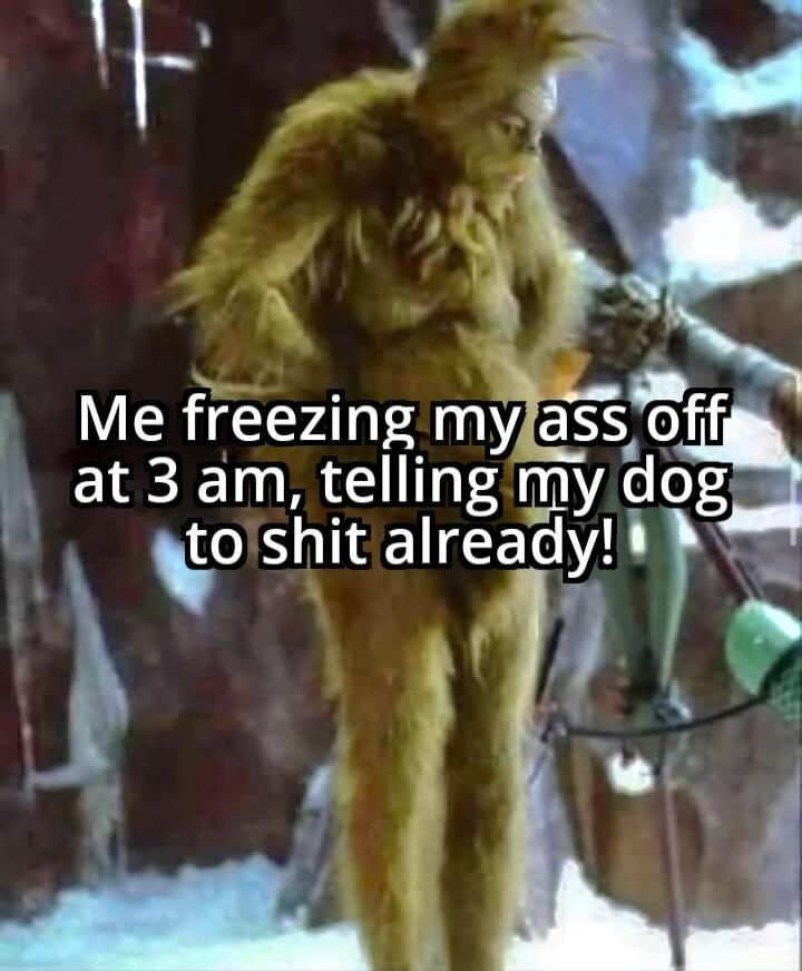 Me freezing my ass off at 3 am, telling my dog to shit already!