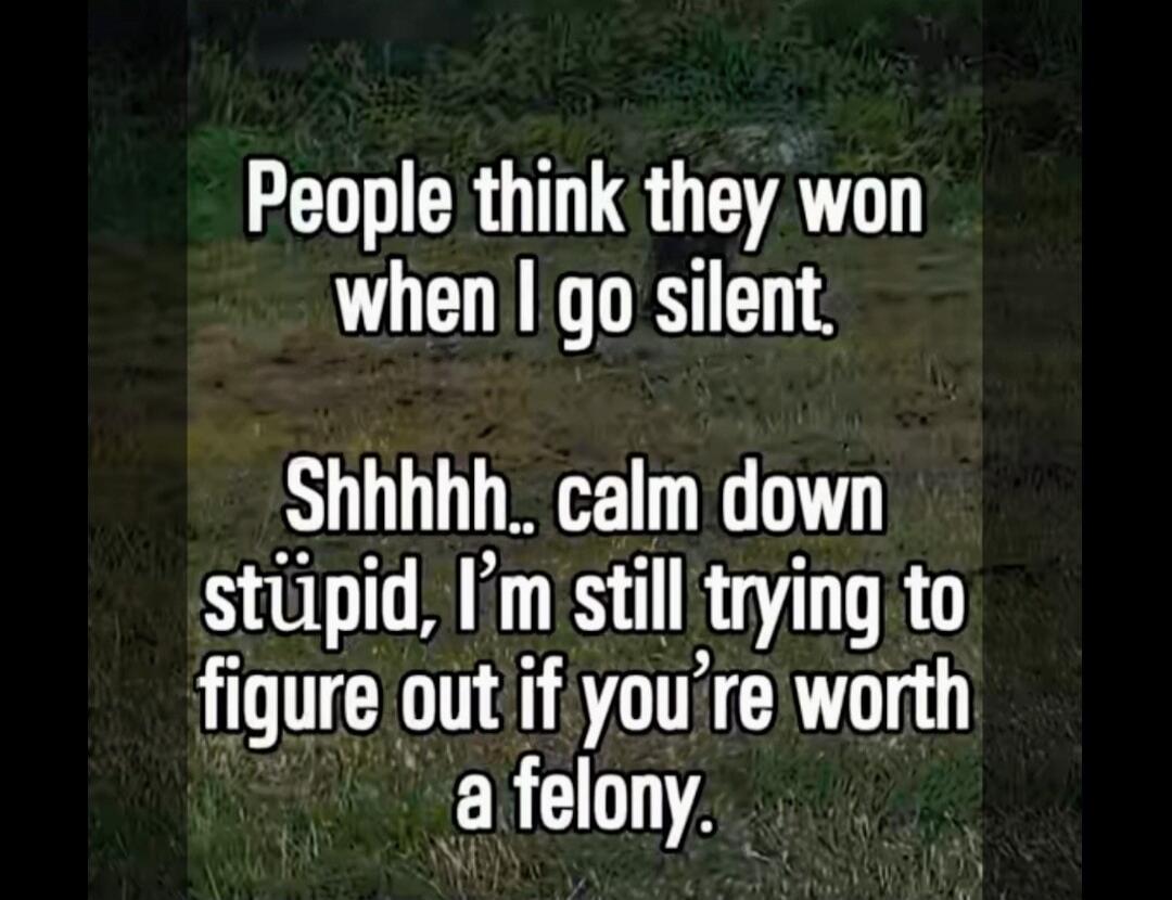 People think they won when I go silent. Shhhhh.. calm down stupid, I'm still trying to figure out if you're worth a felony.