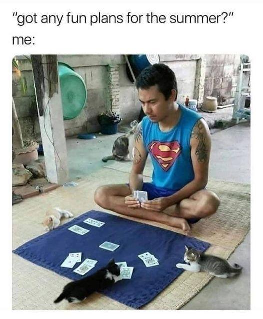 got any fun plans for the summer